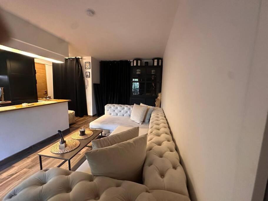 Jardin Des Plantes Parking Securise Terrasse Et Ascenseur Apartment Тулуза Екстериор снимка